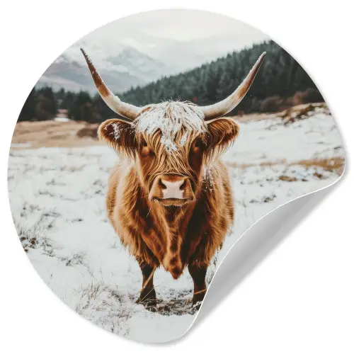 Schotse Hooglander - Landschap - Sneeuw - Bergen - Winter Wandcirkel behangsticker klein -3d