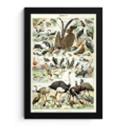 Vogel - Natuur - Dieren - Vintage - Kunstwerk fotolijst zwart zonder passe partout klein -3d