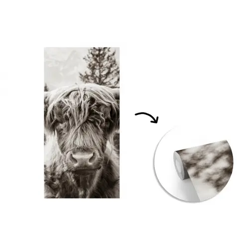 Schotse hooglander - Koe - Dieren - Zwart - Wit fotobehang vinyl groot -3d