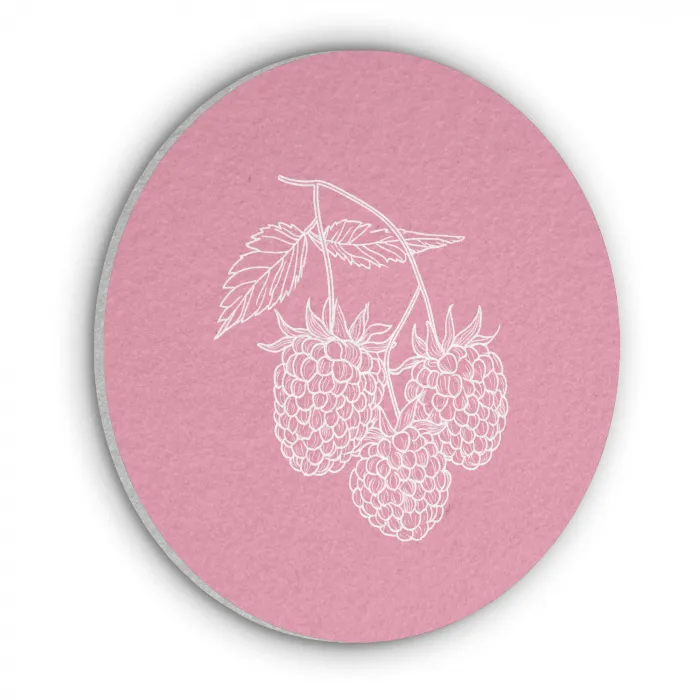 Frambozen - Steel - Getekend - Roze Akoestische PET Vilt - Rond klein -3d