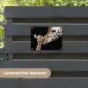 Moederlijke tederheid bij giraffen tuinposter los doek klein -sfeer3