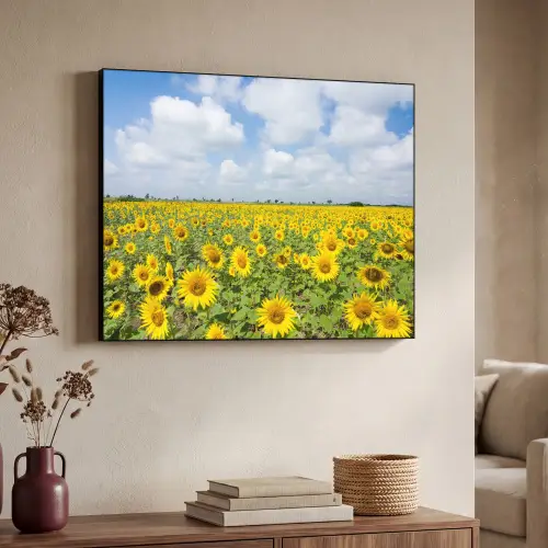 Zonnebloemen - Bloemen - Wolken - Natuur - Geel - Landschap Textielframe zwart klein -sfeer3