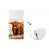Schotse hooglander - Koe - Dieren - Natuur - Heide fotobehang vinyl groot -3d