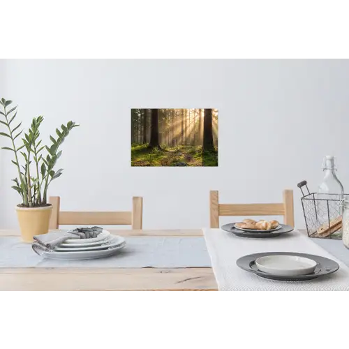Bos - Zonlicht - Gras Muursticker klein -eettafel