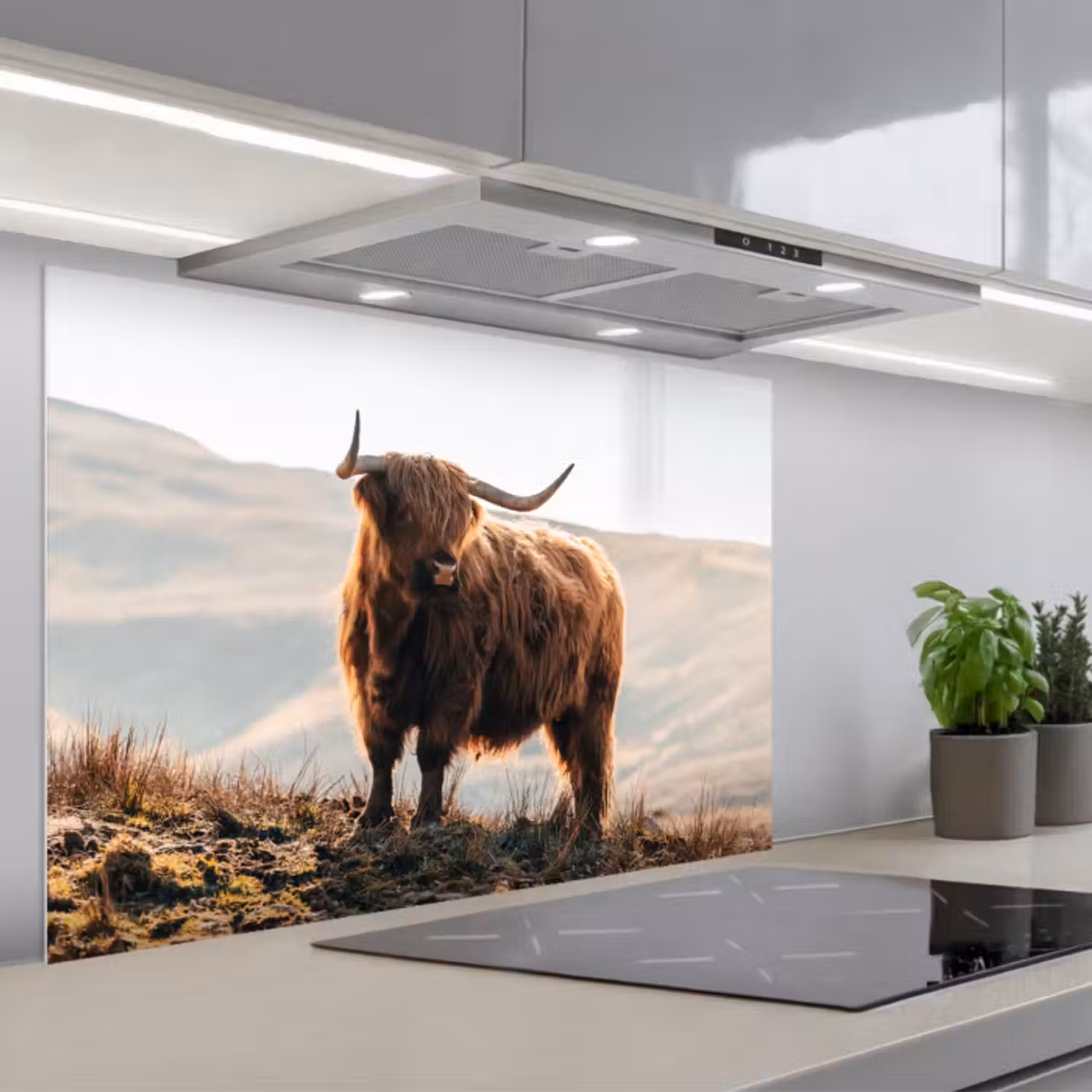 Spatscherm keuken - Schotse hooglander - Dieren - Landelijk - Landschap - Koe - Natuur