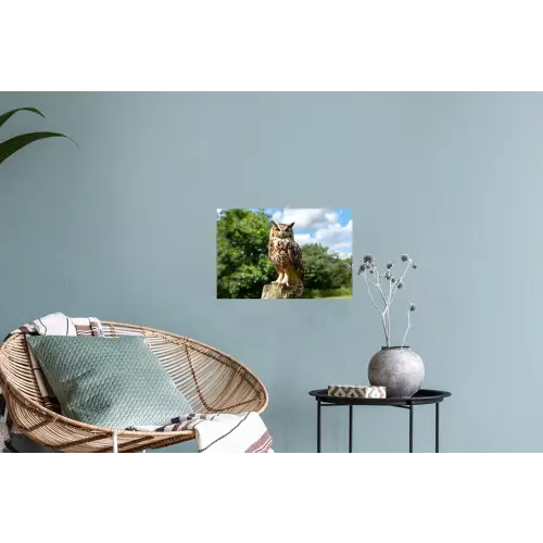 Uil - Boomstronk - Bos - Lucht Muursticker klein -plant
