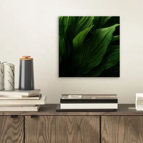 Bladeren - Schaduw - Groen - Textuur aluminium wit klein -sfeer1