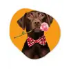 Hond - Oranje - Roos - Valentijn Wandcirkel Organisch Forex 3mm klein -3d
