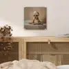 Bad - Hond - Boek - Zonnebril plexiglas 5mm klein -sfeer4