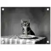 Bengaal - Kat - Tafelkleed - Zwart - Wit - Dier tuinposter los doek klein -3d