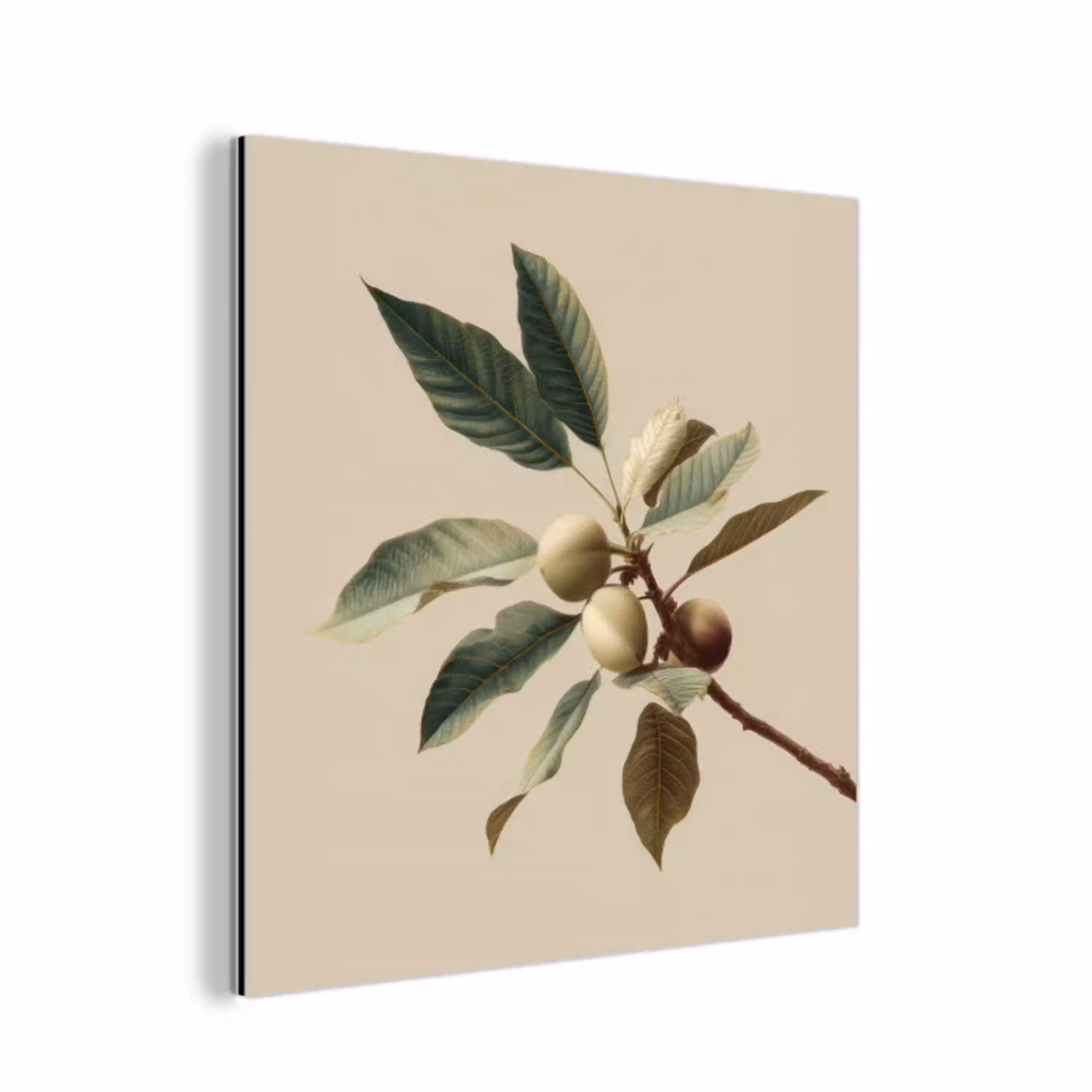Tak - Groene Bladeren - Vruchten aluminium wit klein -3d