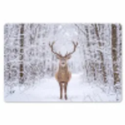 Hert - Winter - Bos - Natuur - Wit Placemat vinyl groot -zzsfeer1_Kitchenyeah-website