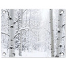Berkenbomen - Sneeuw - Winter - Bos - Wit tuinposter los doek klein -3d