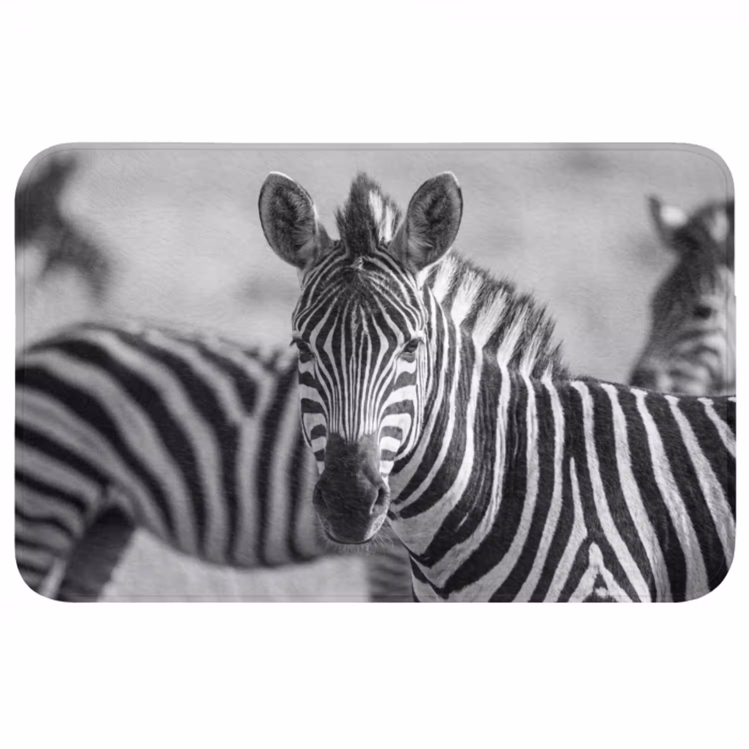 Zebra's - Zwart - Wit WCmat middel -3d