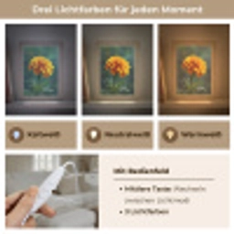 Bloemblaadjes - Afrikaan - Oranje - Wazig Light Box met kabel (Tafellamp) klein -USP_lichtkleurDE