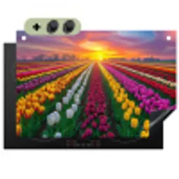 Tulpenveld - Zonsondergang - Kleurrijk Inductie beschemer met haakjes klein -3d