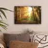 Bos - Herfst - Zon - Landschap - Natuur - Bomen - Bladeren canvas 2cm klein -sfeer1