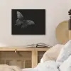 Vlinder - Zwart - Insect - Dieren PET vilt klein -sfeer3