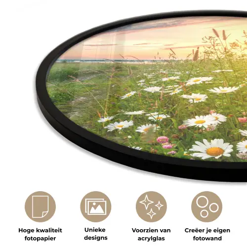 Bloemen - Madelief - Natuur - Zon - Horizon Fotolijst rond zonder passe partout klein -closeup_NL
