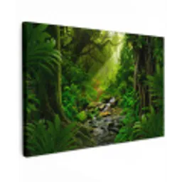 Jungle - Water - Bladeren - Zon - Natuur canvas 2cm klein -z3d