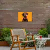 Hond - Oranje - Roos - Valentijn Tuinposter op houten frame 2 cm dik klein -sfeer3