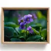 Viooltjes - Paars - Bloem - Bladeren Dienblad Rechthoek middel -z3d_shopping