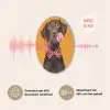Hond - Oranje - Roos - Valentijn Akoestische PET Vilt - Rond klein -USP_NL