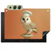 Kerkuil - Koksmuts - Oranje - Vogel Inductie beschemer met haakjes klein -3d
