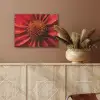 Close up - Bloem- Rood PET vilt klein -sfeer4