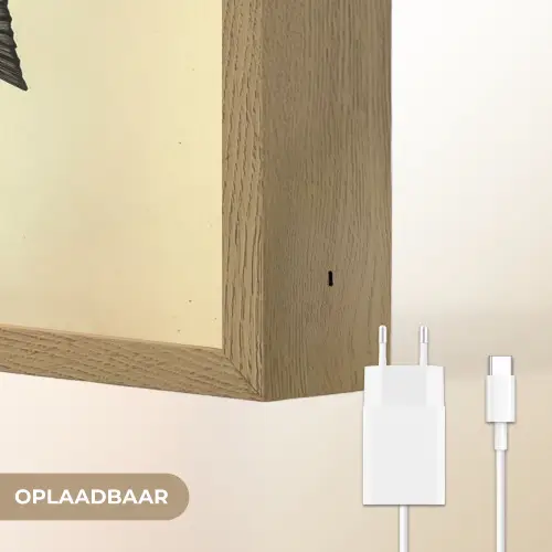 Blauw - Kieuwen - Vis - Illustratie Light Box met batterij (Wandlamp) middel -USP_websiteoplaadbaarNL