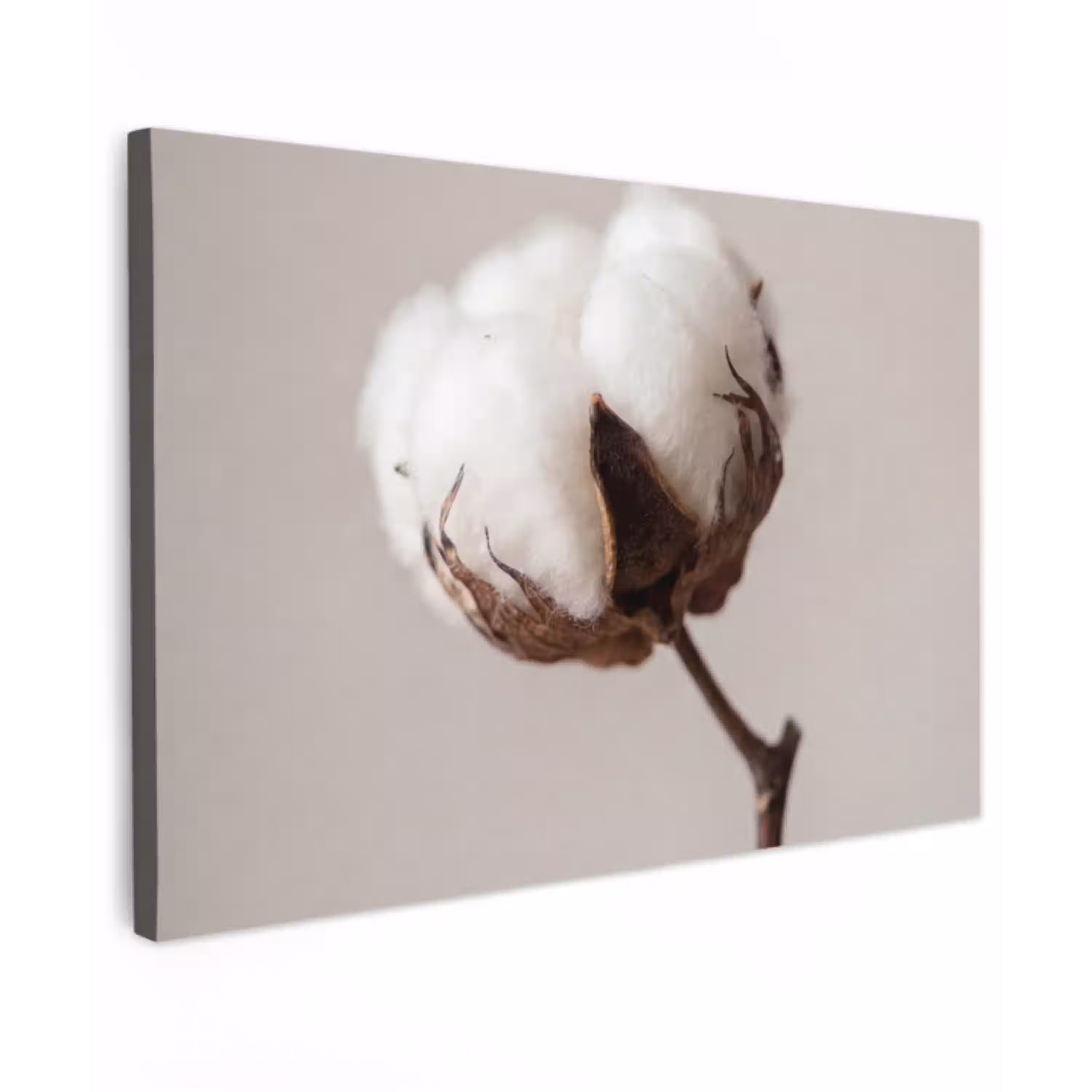 Katoenbol - Minimalistisch - Wit canvas 2cm klein -z3d