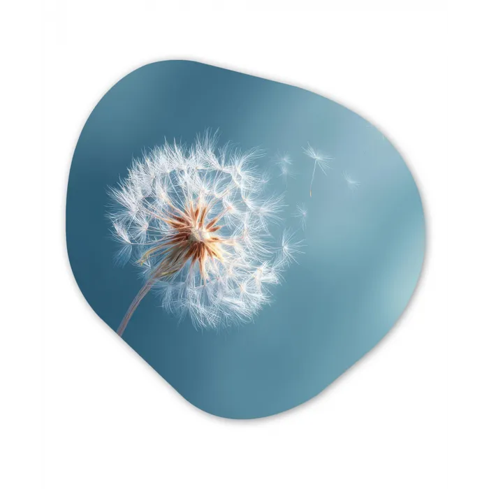 Paardenbloem - Wind - Blauw Wandcirkel Organisch Forex 3mm klein -3d