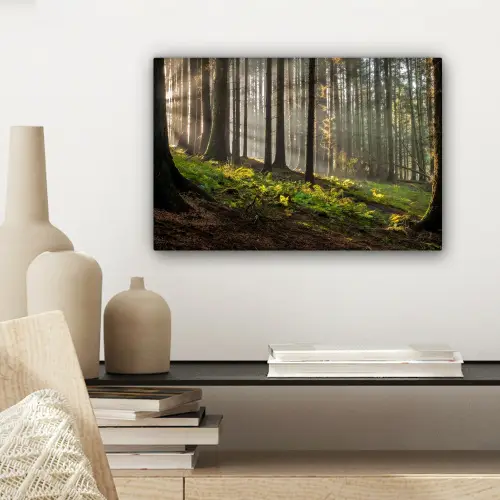 Zon - Takken - Bomen - Bos - Natuur canvas 2cm klein -sfeer6