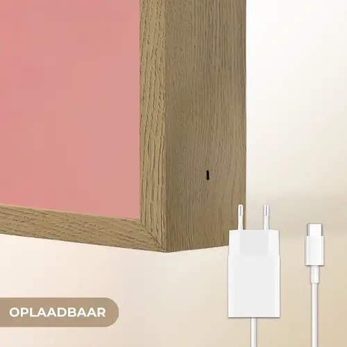 Duiven - Wit - Sierlijk Light Box met batterij (Wandlamp) middel -USP_websiteoplaadbaarNL