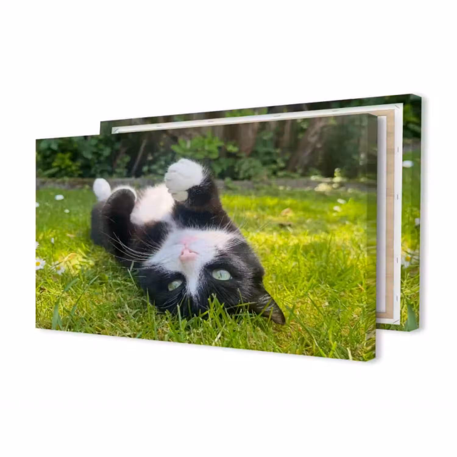 Foto op canvas panorama