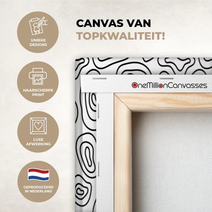 Lijnen - Zwart - Wit - Organisch canvas 2cm xxl 828 -sfeer2