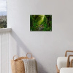 Pad door het Regenwoud tuinposter los doek klein -sfeer8