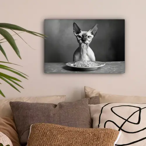 Sphynx - Kat - Dieren - Humor - Spaghetti - Zwart Wit canvas 2cm klein -sfeer1