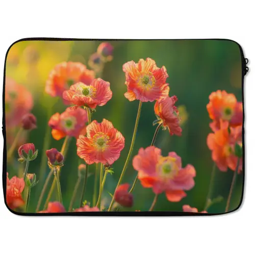 Bloemenveld - Zonnestralen - Oranje laptophoes neopreen klein -zkaufland3dotto