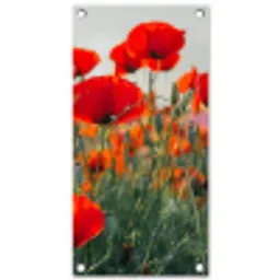 Klaprozen in close-up bij zonsondergang tuinposter los doek klein -3d