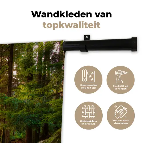 Bos - Pad - Bomen - Groen - Zon - Natuur Wandkleed katoen klein -sfeer2