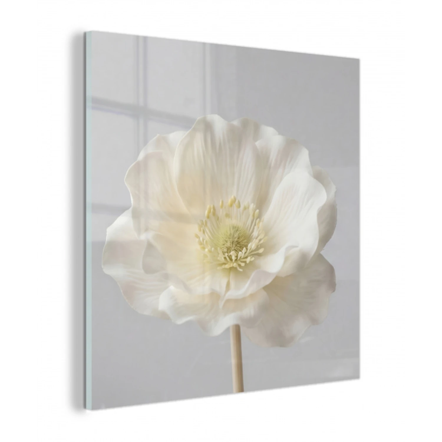 Bloem - Minimalistisch -Wit plexiglas 5mm klein -z3d