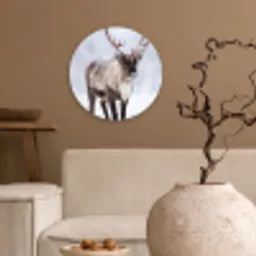 Rendier - Gewei - Toendra - Sneeuw - Wild Wandcirkel kunststof plaat 5mm dik klein -sfeer1