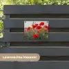 Rode klaprozen in de avondzon tuinposter los doek klein -sfeer3