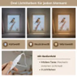 Roodborsttapuit - Heide - Paars - Natuur - Sfeervol Light Box met kabel (Kinderlampje) klein -USP_lichtkleurDE