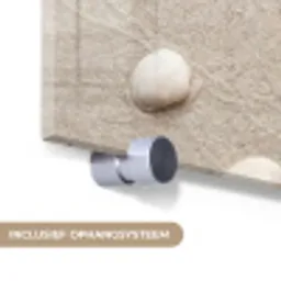 Schelpen - Zeesterren - Strand plexiglas 5mm klein -zzsysteem_NL