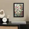 Kolibrie - Vintage - Ernst Haeckel - Vogel - Kunst - Natuur fotolijst zwart zonder passe partout klein -sfeer1