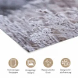 Schermbloem - Rijp - Kristallen - Winter - Delicaat poster papier klein -tcloseup_DE