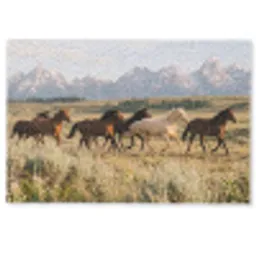Paarden - Kudde - Bergen - Vrijheid - Wild Deurmat klein -zkaufland3d