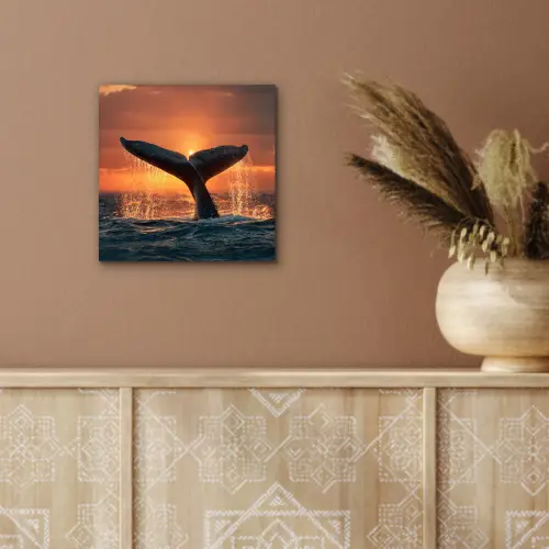 Walvis staart - Water - Zonsondergang aluminium wit klein -sfeer4